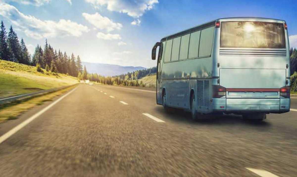 Le bus de Pareloup est bien arrivé au centre 