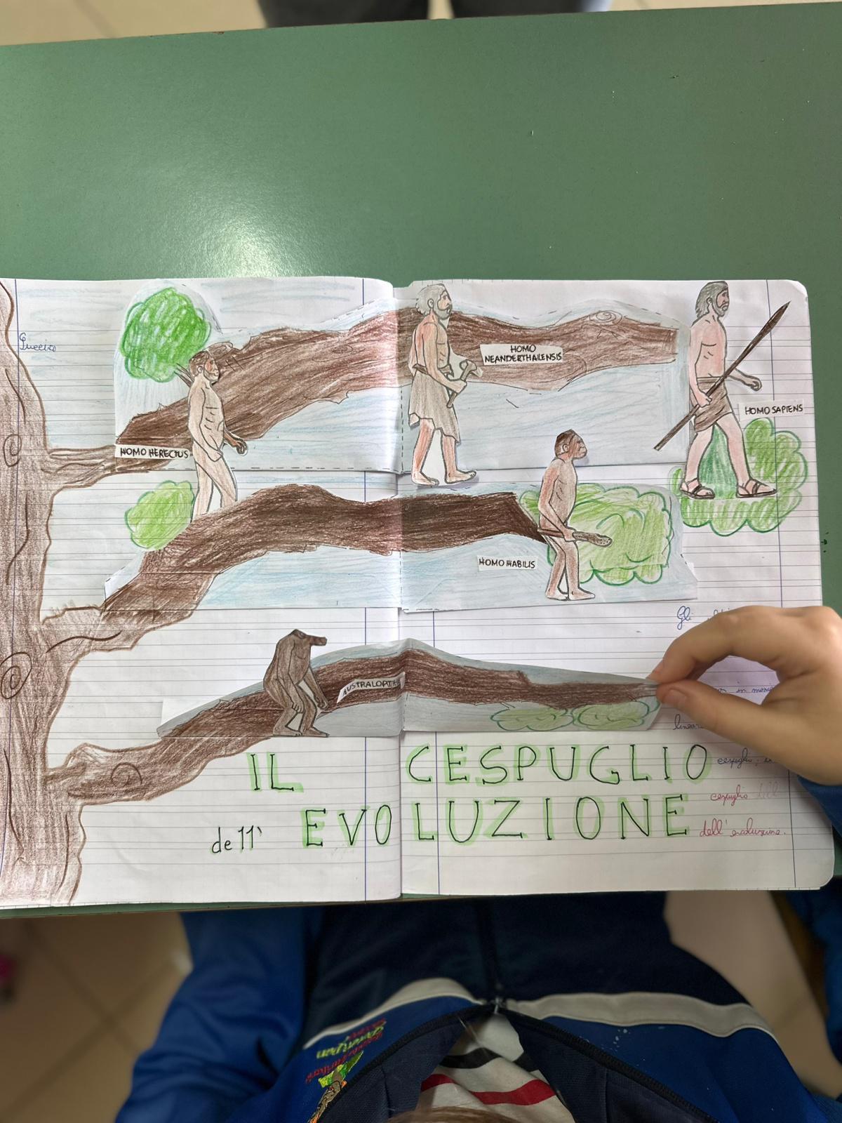 Evoluzione dell’uomo  Evoluzione dell’uomo