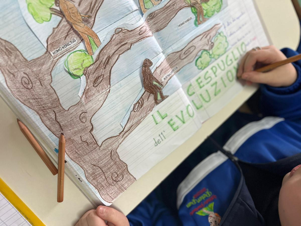 Evoluzione dell’uomo  Evoluzione dell’uomo