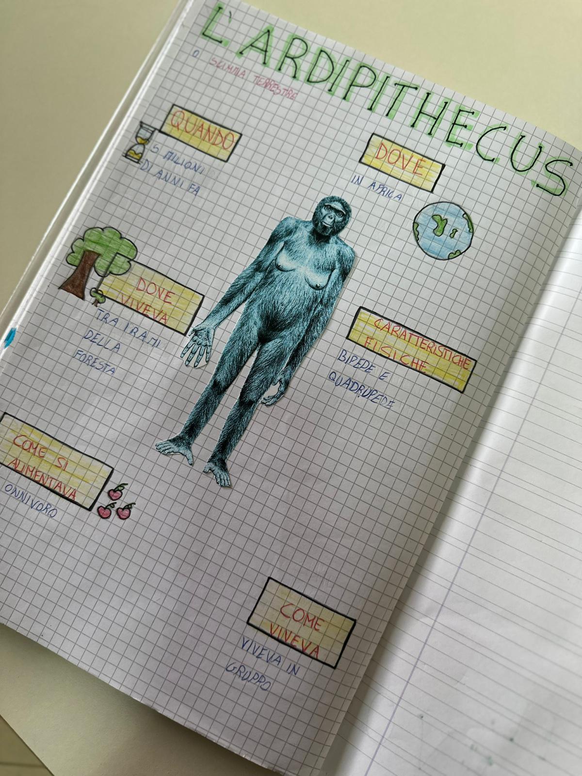 Evoluzione dell’uomo  Evoluzione dell’uomo