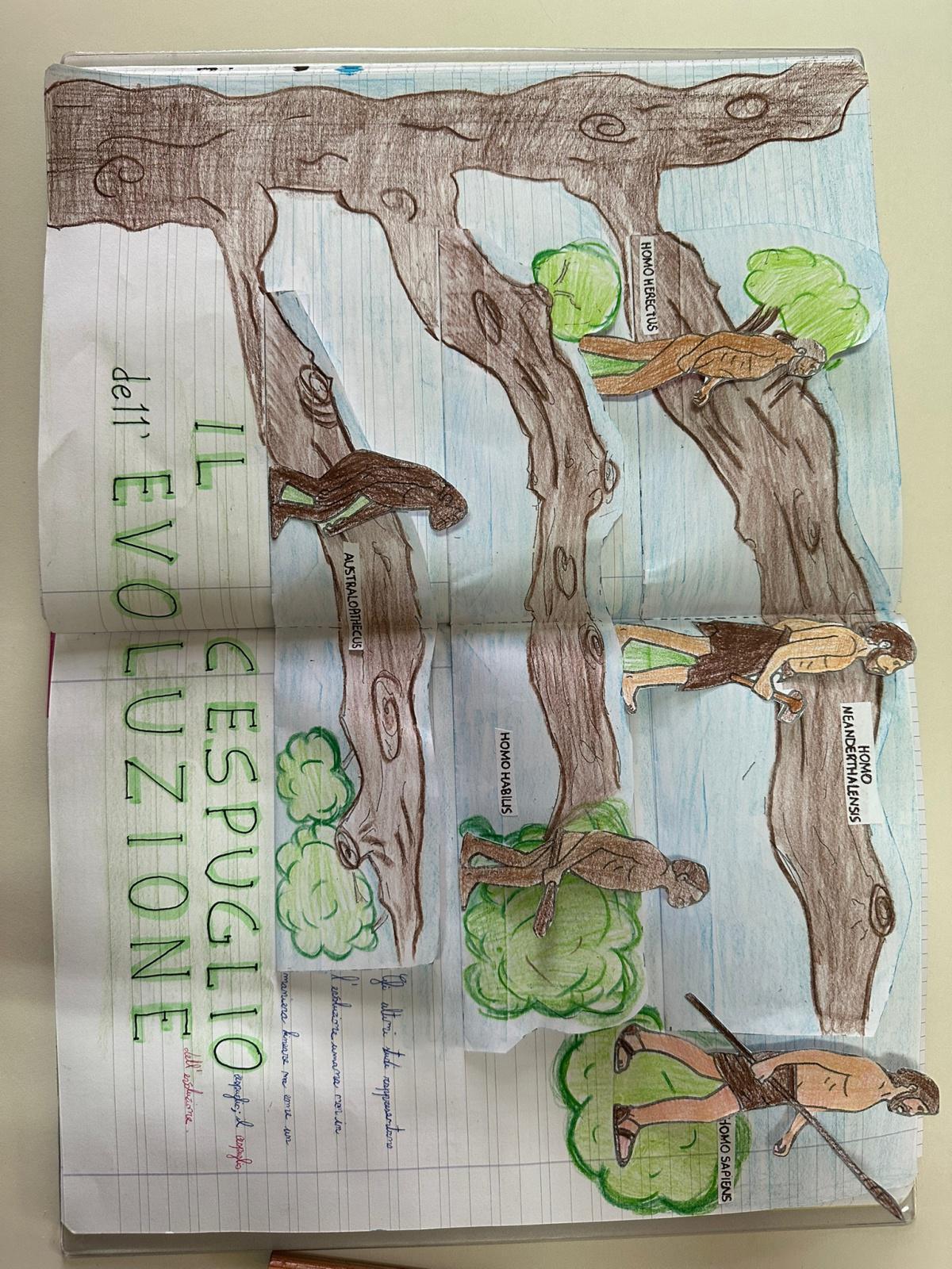 Evoluzione dell’uomo  Evoluzione dell’uomo