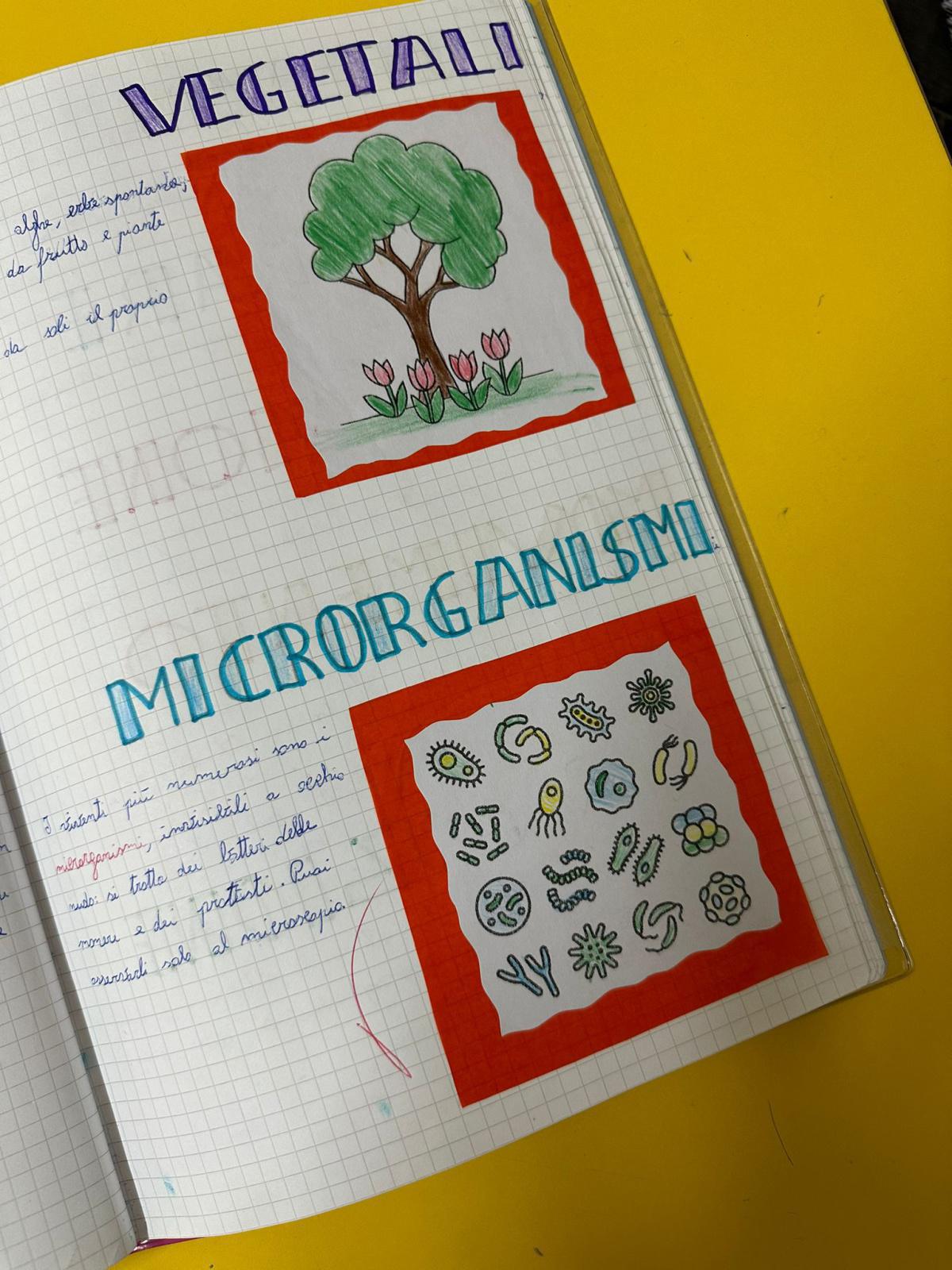 Progetto di Scienze Progetto di Scienze