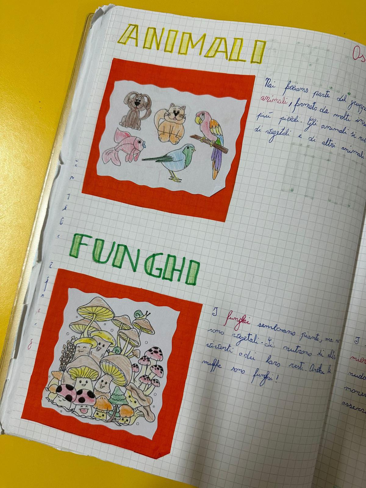 Progetto di Scienze Progetto di Scienze