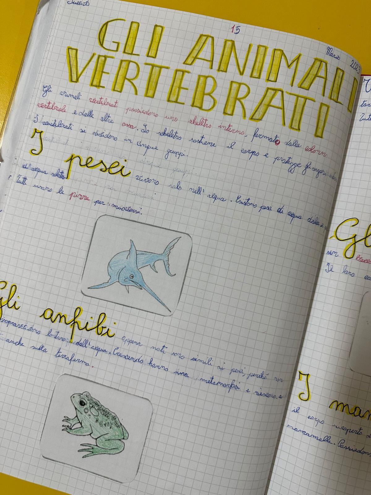 Progetto di Scienze Progetto di Scienze