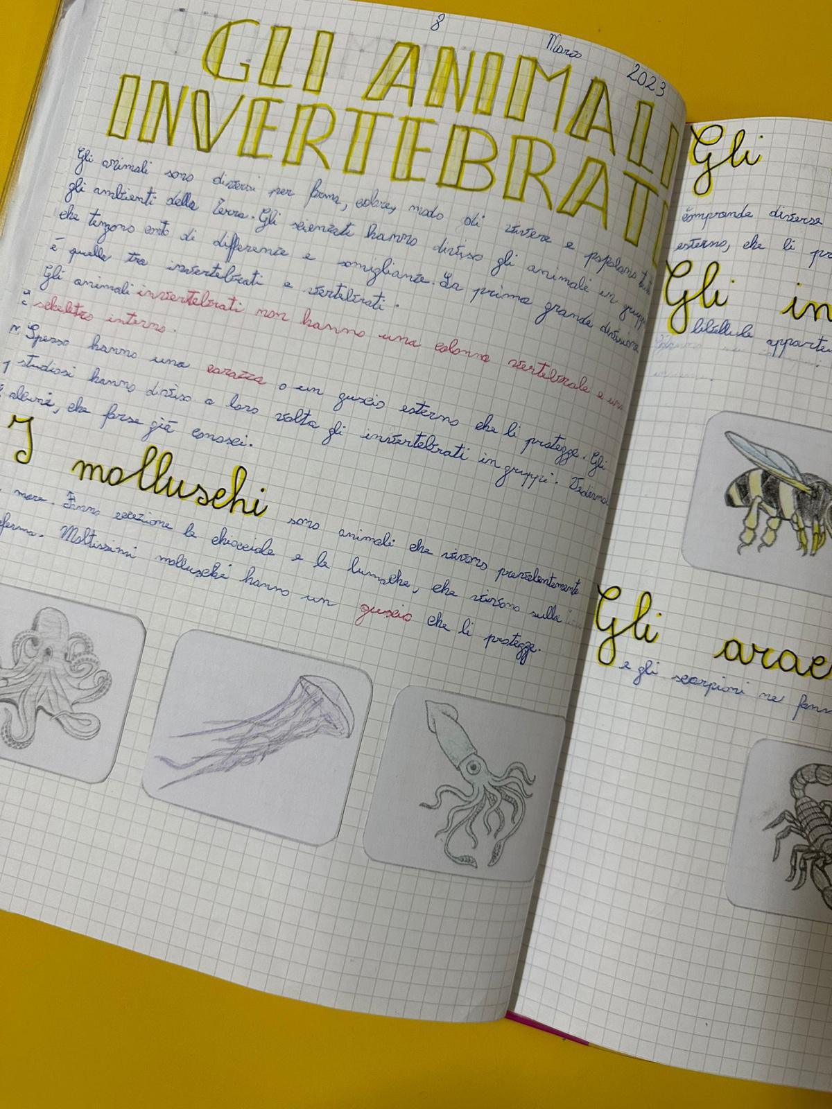 Progetto di Scienze Progetto di Scienze