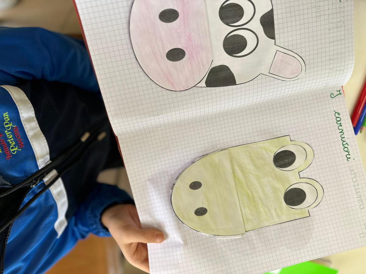 Progetto di Scienze Progetto di Scienze