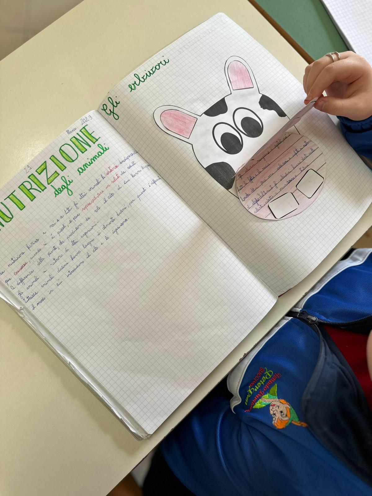 Progetto di Scienze Progetto di Scienze