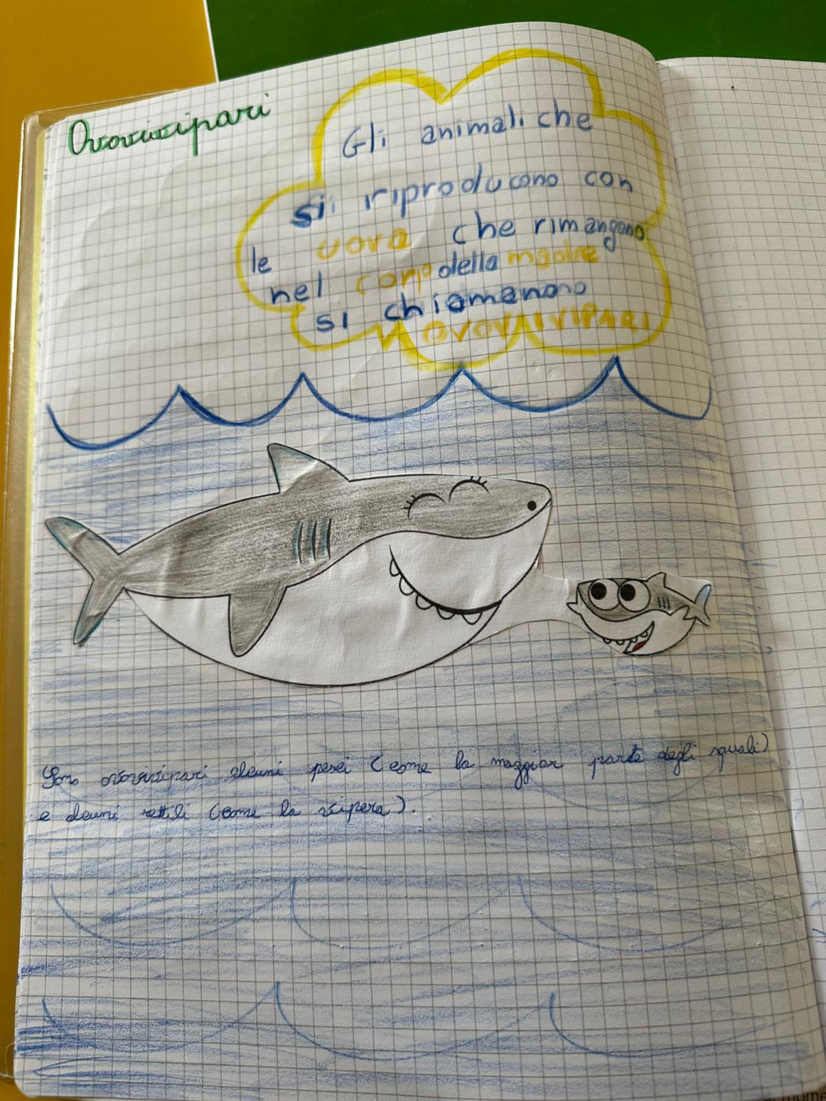 Progetto di Scienze Progetto di Scienze