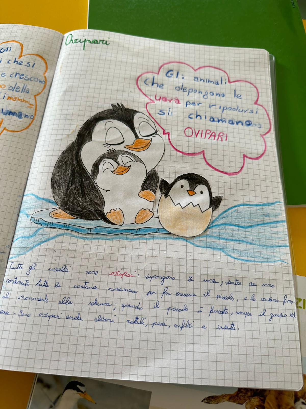 Progetto di Scienze Progetto di Scienze