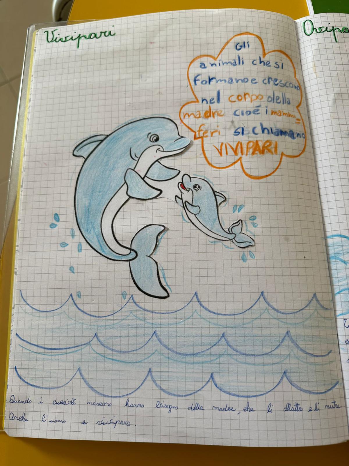 Progetto di Scienze Progetto di Scienze