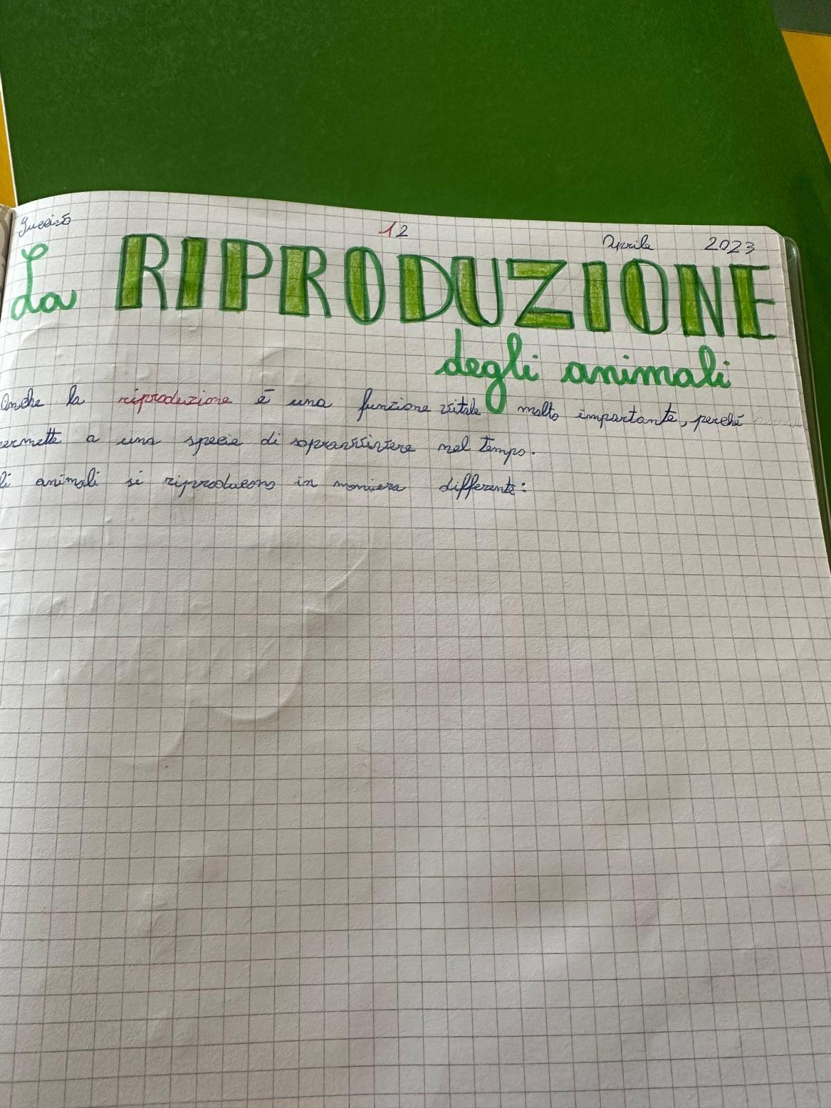 Progetto di Scienze Progetto di Scienze