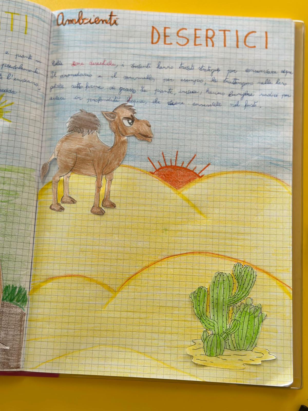 Progetto di Scienze Progetto di Scienze