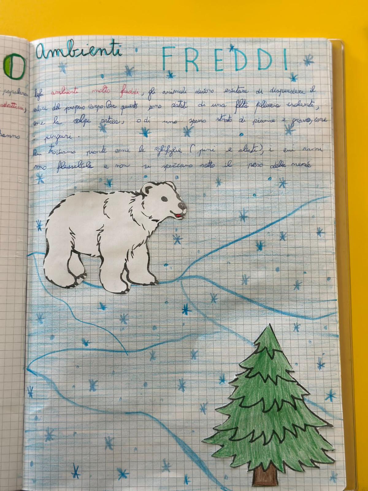 Progetto di Scienze Progetto di Scienze