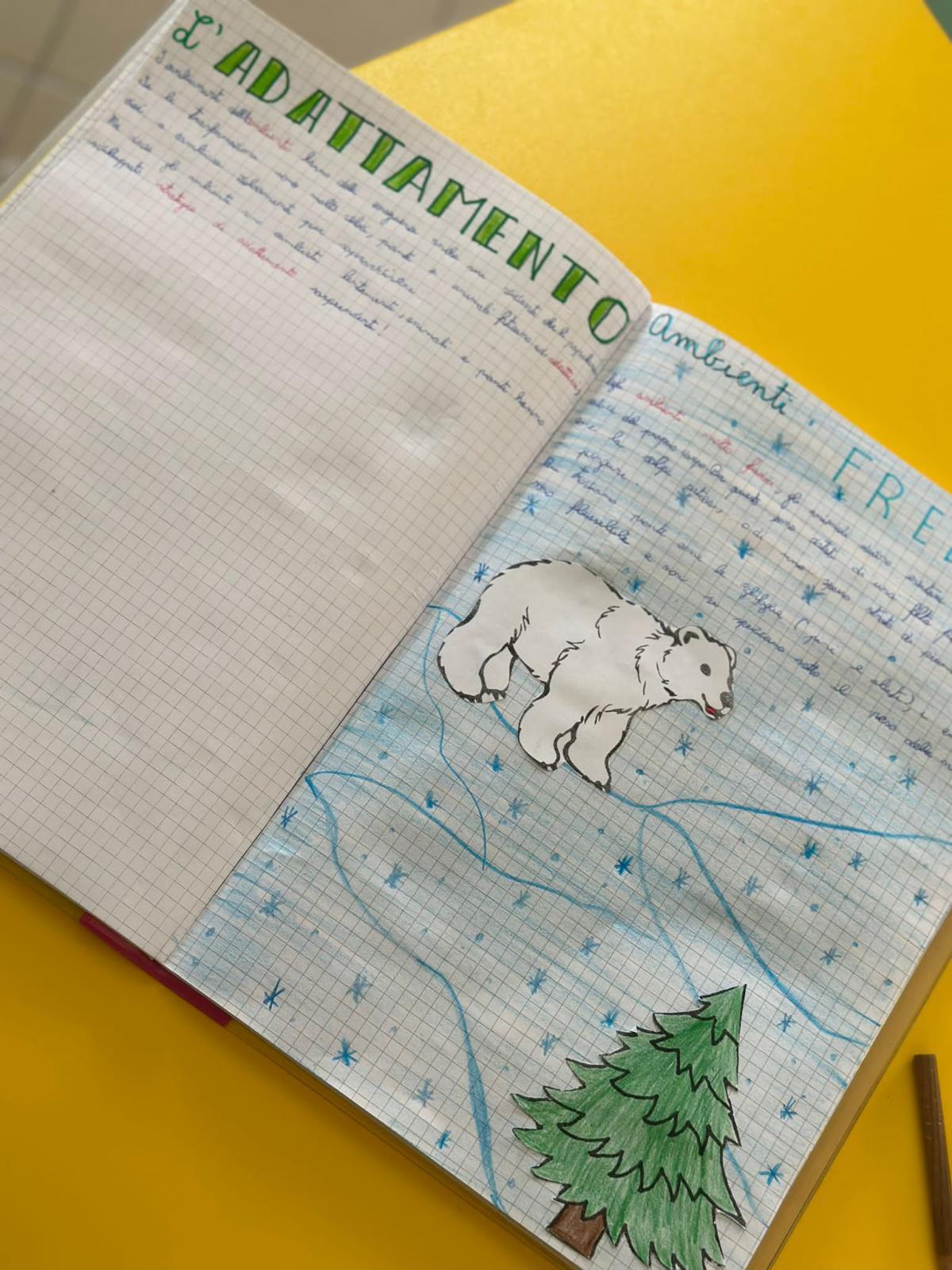 Progetto di Scienze Progetto di Scienze