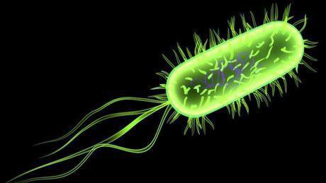 Infectiodoc Infectiodoc