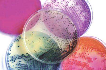 Antibiothérapie selon la pathologie