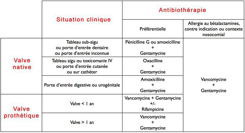 Antibiothérapie probabiliste avant identification microbiologique, endocardite bactérienne