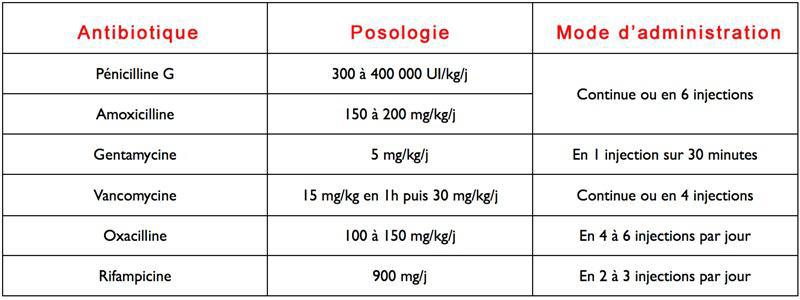 Antibio endocardite bactérienne