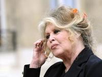 La fondation Brigitte Bardot, a vivement critiqué la tenue d'une formation sur l'abattage rituel à Grenoble