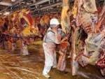 Halal : un réseau d’abattage clandestin démantelé