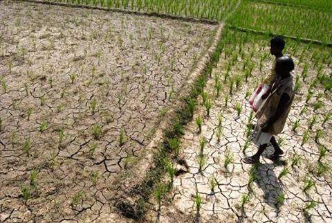 Conséquence des activités humaines, la désertification fait disparaître 24 milliards de tonnes de sol fertile chaque année, réduisant la production agricole. Plus de 250 millions de personnes en sont directement affectées.