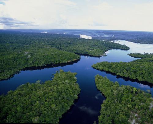 Le respect de la Nature au cœur du Coran