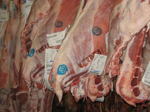 110 bovins sont abattus chaque semaine selon le rite musulman chez la société Gourault, spécialisée en viande de haut de gamme.