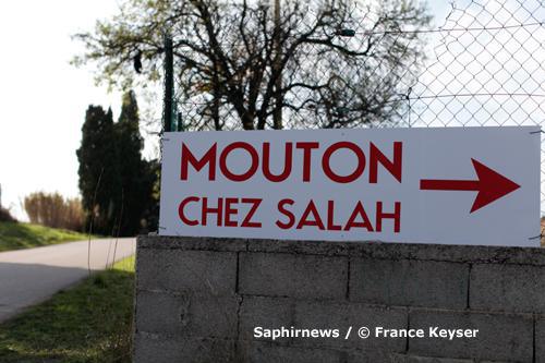 En l'absence de l'abattoir temporaire du site de Saint-Louis à Marseille, de nombreux Marseillais se sont rabattus vers les abattoirs environnants. Ici, celui de Pennes-Mirabeau, à 17 km au nord de Marseille.