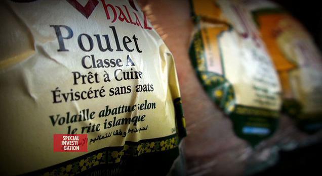 Image extraite du documentaire "Halal : les dérives d'un nouveau business". © Canal+