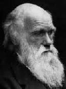 Charles Darwin, auteur