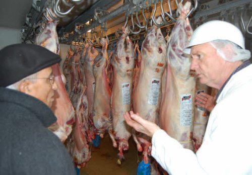 Abattage rituel : l'autorisation préfectorale obligatoire dès juillet 2012