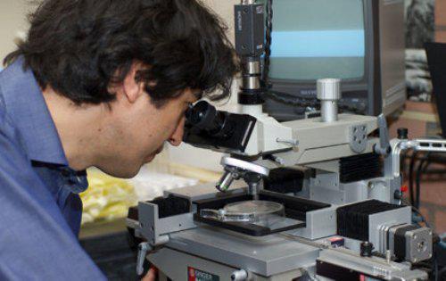 Les bienfaits du jeûne contre le cancer font le buzz