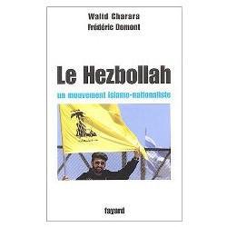 Hezbollah : un éclairage nouveau