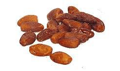 Des dattes deglet nour
