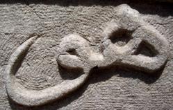 Sur « Le Chemin de Dieu », hommage à Catherine Delorme, une figure méconnue du soufisme