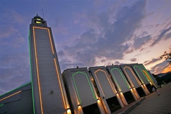 La Grande Mosquée de Lyon.