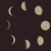 Une lunaison est un cycle complet de la lune. La durée entre deux pleines lunes est environ 29,5 jours.