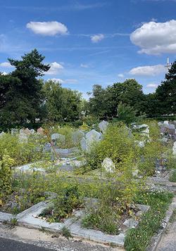 Pour la dignité des défunts, des mosquées mobilisées pour nettoyer le carré musulman du cimetière de Valenton