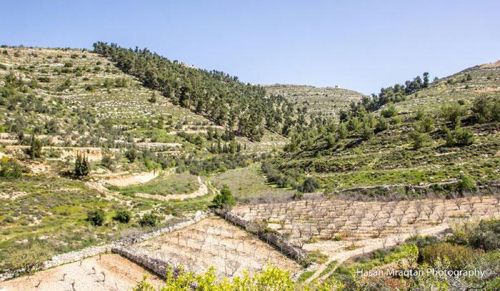 Sortie des radars médiatiques, la Palestine n’est plus