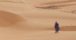 Voyager, pour quoi faire ?