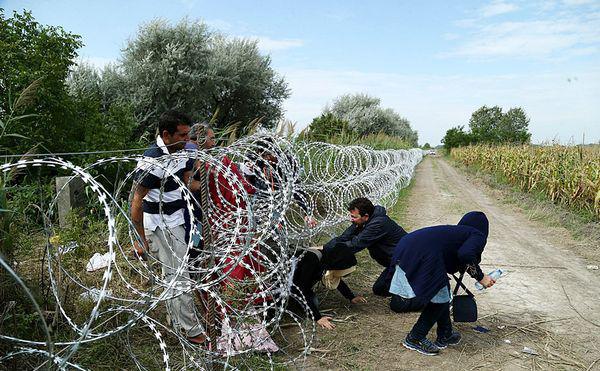 Migrants franchissant la frontière hongroise, août 2015.