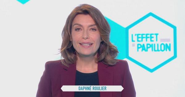 Canal + met fin à L’effet Papillon : Gaza, Centrafrique, Japon, USA... six reportages à revoir (vidéo)