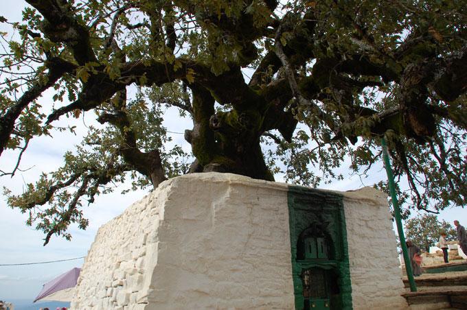 Sanctuaire du Cheikh 'Abd al-Salâm Ibn Machîch, montagnes du Rif, Maroc. (photo © Fondation Conscience soufie)