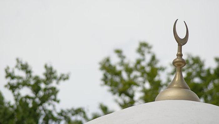 Is, lam de France : avant la plénière, ce qu’il faut savoir des premières propositions du FORIF