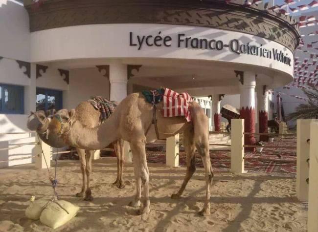 Un lycée français au Qatar « conforme à l’islam », l'intox