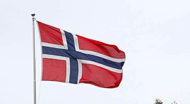 Norvège : des partisans de l'extrême droite percutés en voiture après avoir brûlé un Coran