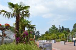 Lyon : un jardin andalou pour fêter les 20 ans de la Grande Mosquée