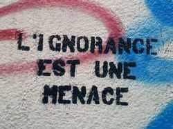 De Paris à Bangui, des religieux musulmans alertent contre « le danger de l'ignorance »