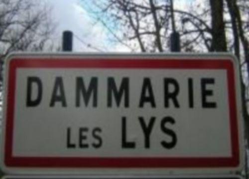 Seine-et-Marne : des tombes musulmanes profanées