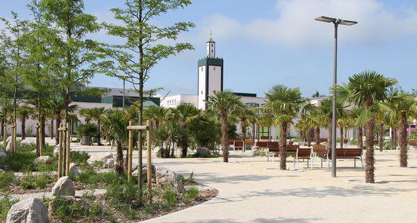 Magnanville : une mosquée collecte plus de 5 000 € pour les familles des policiers